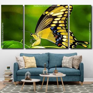 Anise swallowtail Butterfly Panel paint by numbers