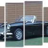 Antique Black Mg Car Panel paint by numbers