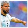 Argentina National Team Sergio Aguero Panel paint by number