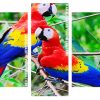 Colorful Beautiful Parrots Scarlet Macaws Panels paint by numbers