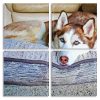 Siberian Husky Panels paint by numbers