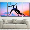 Aerial Silks Silhouette Panels paint by numbers