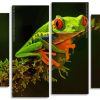 Green Frog Panels paint by numbers