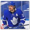 Auston Matthews Ice Hockey Player Panels paint by numbers