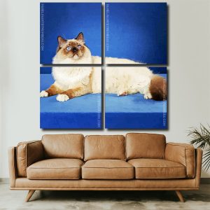 Balinese Cat panels paint by numbers