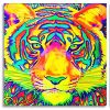 colorful tiger Panels paint by numbers