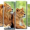 Lion and Lioness 4 Panels Paint By Numbers