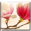 Magnolia Flowering Plant 3 Panels Paint By Numbers