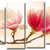 Magnolia Flowering Plant 4 Panels Paint By Numbers