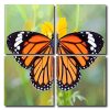 Monarch Butterfly Art Square Panels Paint By Numbers