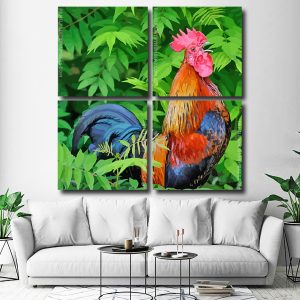 Rooster Bird Animal Square Panels Paint By Numbers