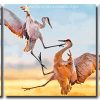 Sandhill Crane Fighting 3 Panels Paint By Numbers