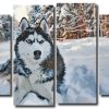 Siberian Husky Dog 4 Panels Paint By Numbers