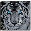 Tiger With Blue Eyes 3 Panels Paint By Numbers