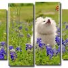 White Dog Watching Butterfly 4 Panels Paint By Numbers