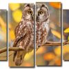 Zimbabwean Owl 4 Panels Paint By Numbers