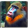 Aesthetic Mandrill 3 Panels Paint By Numbers