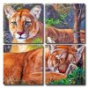 Aesthetic Lions Square Panels Paint By Numbers