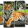 Aesthetic Tiger 4 Panels Paint By Numbers