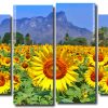 Beautiful Sunflowers 4 Panels Paint By Numbers