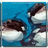 Cute Orcas 3 Panels Paint By Numbers