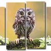 Cute Owl Bird 4 Panels Paint By Numbers