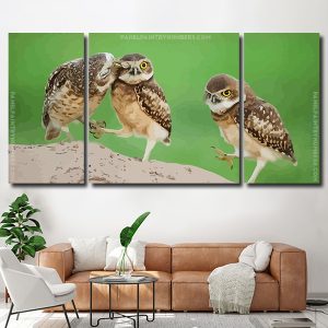 Cute Owls 3 Panels Paint By Numbers