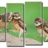 Cute Owls 4 Panels Paint By Numbers