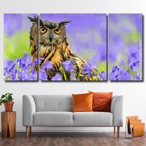 Owl Bird 3 Panels Paint By Numbers