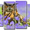 Owl Bird 4 Panels Paint By Numbers