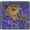 Owl Bird Art 3 Panels Paint By Numbers