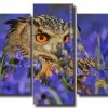 Owl Bird Art 5 Panels Paint By Numbers