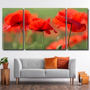 Papaveri Flowers Nature 3 Panels Paint By Numbers