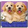 Puppies In Basket 3 Panels Paint By Numbers