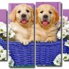 Puppies In Basket 4 Panels Paint By Numbers