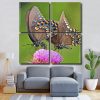 Swallowtail Butterflies Square Panels Paint By Numbers