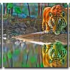 Tiger Reflection 3 Panels Paint By Numbers