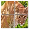 Wild Lioness Square Panels Paint By Numbers