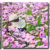 Woman In A Field Of Pink Flowers 3 Panels Paint By Numbers